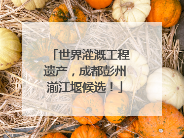 世界灌溉工程遗产，成都彭州湔江堰候选！