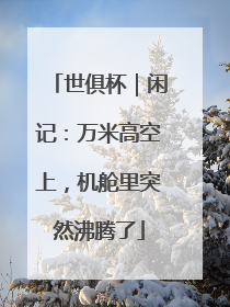 世俱杯｜闲记：万米高空上，机舱里突然沸腾了