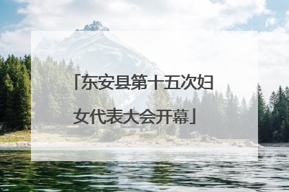 东安县第十五次妇女代表大会开幕