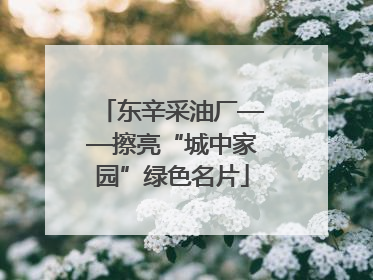 东辛采油厂——擦亮“城中家园”绿色名片
