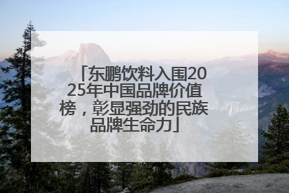 东鹏饮料入围2025年中国品牌价值榜，彰显强劲的民族品牌生命力