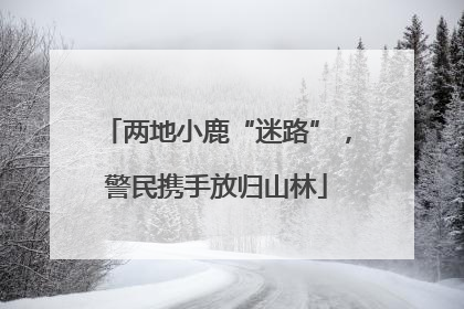 两地小鹿“迷路”，警民携手放归山林