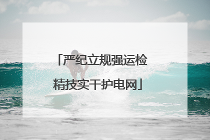 严纪立规强运检 精技实干护电网