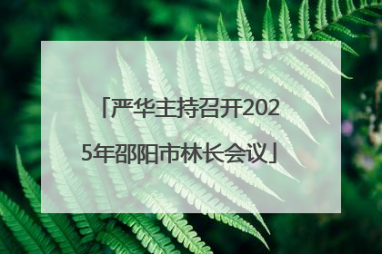 严华主持召开2025年邵阳市林长会议