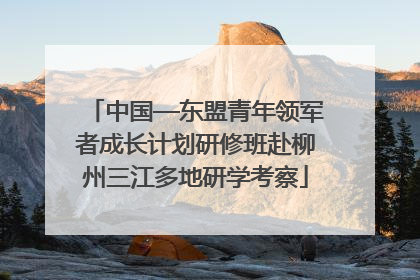 中国—东盟青年领军者成长计划研修班赴柳州三江多地研学考察