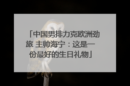 中国男排力克欧洲劲旅 主帅海宁：这是一份最好的生日礼物