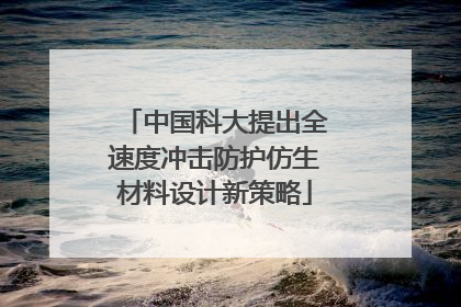 中国科大提出全速度冲击防护仿生材料设计新策略