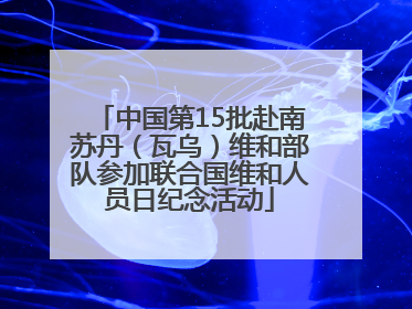 中国第15批赴南苏丹（瓦乌）维和部队参加联合国维和人员日纪念活动