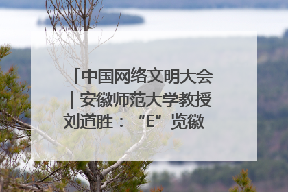 中国网络文明大会｜安徽师范大学教授刘道胜：“E”览徽风，构筑中华民族共有精神家园