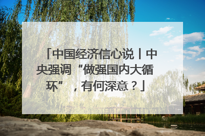 中国经济信心说丨中央强调“做强国内大循环”，有何深意？
