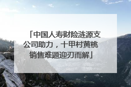 中国人寿财险涟源支公司助力，十甲村黄桃销售难题迎刃而解
