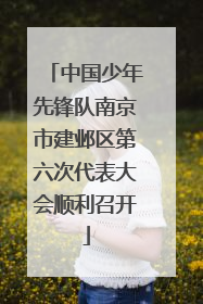 中国少年先锋队南京市建邺区第六次代表大会顺利召开