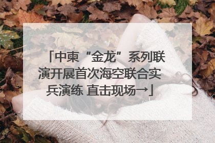 中柬“金龙”系列联演开展首次海空联合实兵演练 直击现场→
