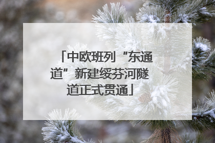 中欧班列“东通道”新建绥芬河隧道正式贯通