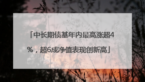 中长期债基年内最高涨超4%，超6成净值表现创新高