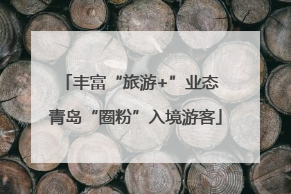 丰富“旅游+”业态 青岛“圈粉”入境游客