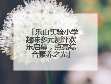 乐山实验小学趣味多元测评欢乐启幕，点亮综合素养之光