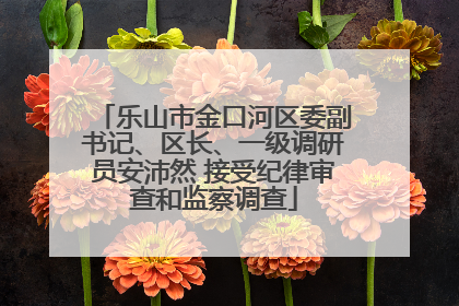 乐山市金口河区委副书记、区长、一级调研员安沛然 接受纪律审查和监察调查