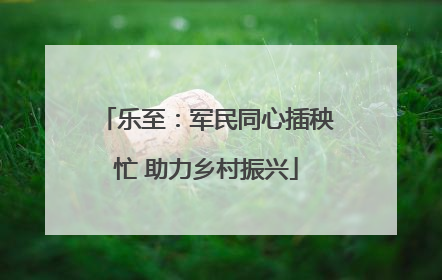乐至：军民同心插秧忙 助力乡村振兴