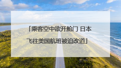 乘客空中欲开舱门 日本飞往美国航班被迫改道
