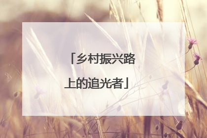 乡村振兴路上的追光者