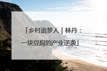 乡村追梦人｜林丹：一块豆腐的产业逆袭