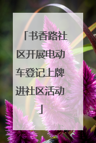 书香路社区开展电动车登记上牌进社区活动