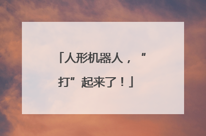 人形机器人，“打”起来了！
