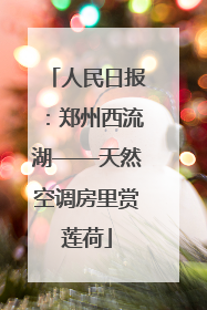 人民日报：郑州西流湖——天然空调房里赏莲荷