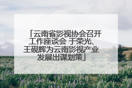 云南省影视协会召开工作座谈会 于荣光、王砚辉为云南影视产业发展出谋划策
