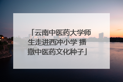 云南中医药大学师生走进西冲小学 播撒中医药文化种子