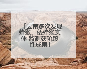 云南多次发现蜂猴、倭蜂猴实体 监测获阶段性成果