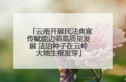 云南开展民法典宣传赋能边疆高质量发展 法治种子在云岭大地生根发芽