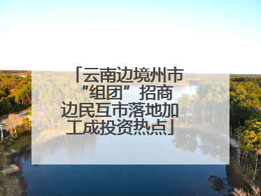 云南边境州市“组团”招商 边民互市落地加工成投资热点