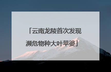 云南龙陵首次发现濒危物种大叶苹婆