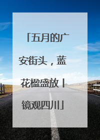 五月的广安街头，蓝花楹盛放丨镜观四川