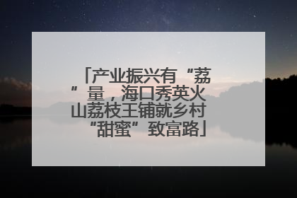 产业振兴有“荔”量，海口秀英火山荔枝王铺就乡村“甜蜜”致富路