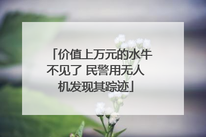 价值上万元的水牛不见了 民警用无人机发现其踪迹