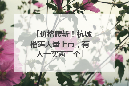 价格腰斩！杭城榴莲大量上市，有人一买两三个