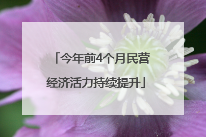 今年前4个月民营经济活力持续提升
