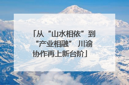 从“山水相依”到“产业相融” 川渝协作再上新台阶