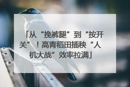 从“挽裤腿”到“按开关”！高青稻田插秧“人机大战”效率拉满