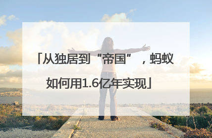 从独居到“帝国”，蚂蚁如何用1.6亿年实现