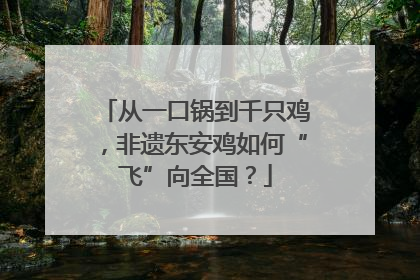 从一口锅到千只鸡，非遗东安鸡如何“飞”向全国？