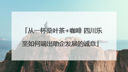 从一杯桑叶茶+咖啡 四川乐至如何端出助企发展的诚意