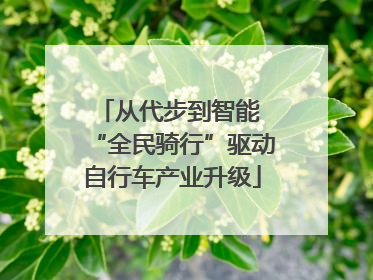 从代步到智能 “全民骑行”驱动自行车产业升级