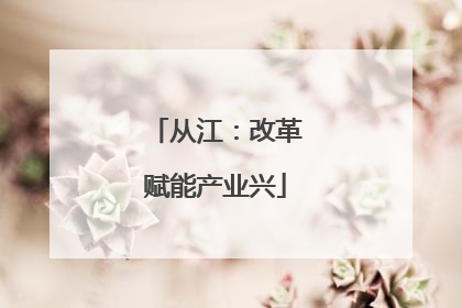 从江：改革赋能产业兴