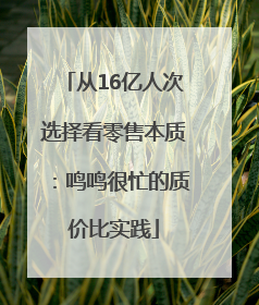 从16亿人次选择看零售本质：鸣鸣很忙的质价比实践