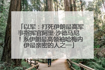 以军：打死伊朗最高军事指挥官阿里·沙德马尼！系伊朗最高领袖哈梅内伊最亲密的人之一