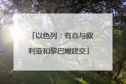 以色列：有意与叙利亚和黎巴嫩建交